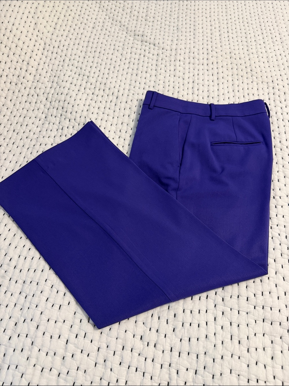 Ann Taylor Wide Leg Pants in Vibrant Purple